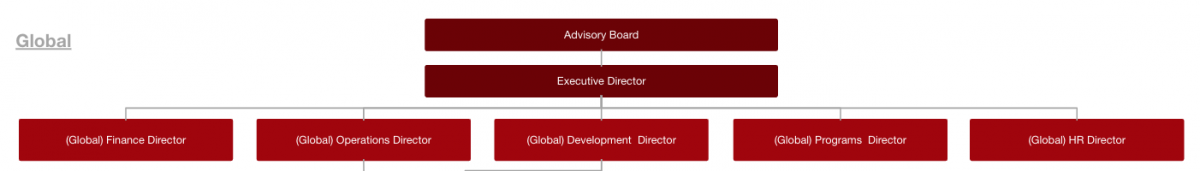 Example organigram 